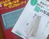 ★視力回復!?マジカル3Dの世界に挑戦! ★視力回復!?マジカル3Dの世界に挑戦!